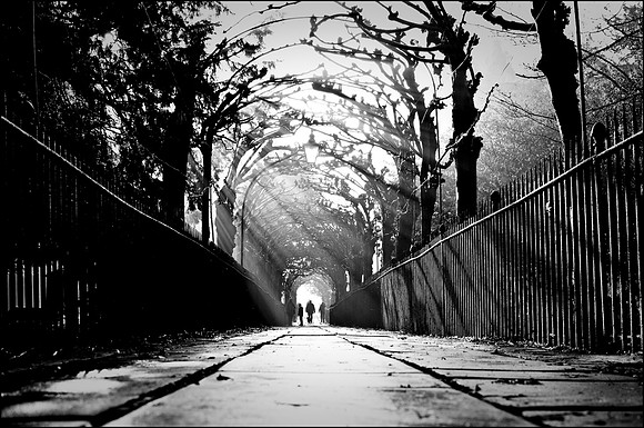 Black and white image of Birdcage walk in Clifton, Bristol whilst surrounded by Fog.