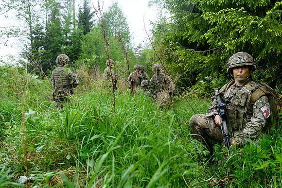 ARMYHQ-2017- 050-EFP 5 RIFLES BG_Estonia-089-TJ